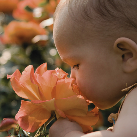 Bebê sorrindo com flor