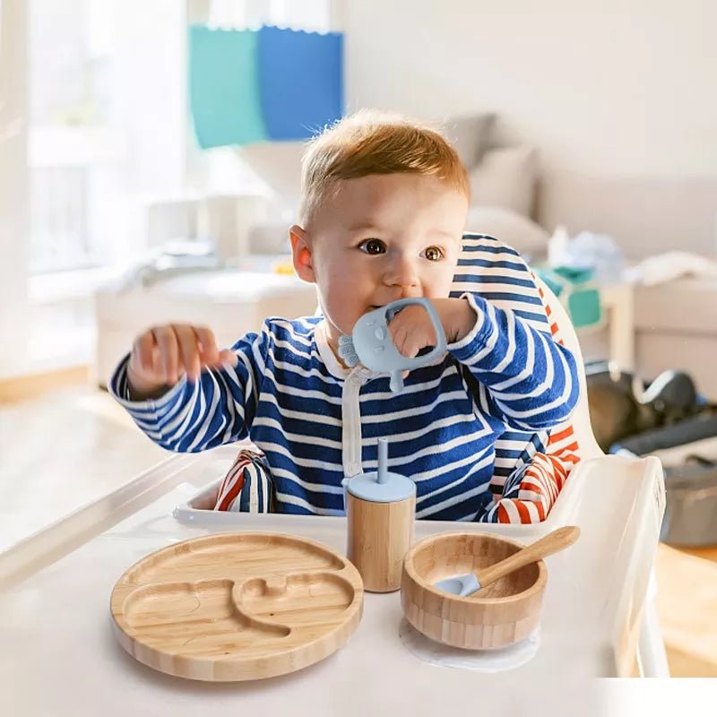 Conjunto de Introdução Alimentar | 7 Peças – Boutique Infantil Les Enfants